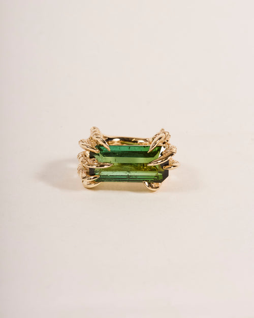 Offering Ring 2025