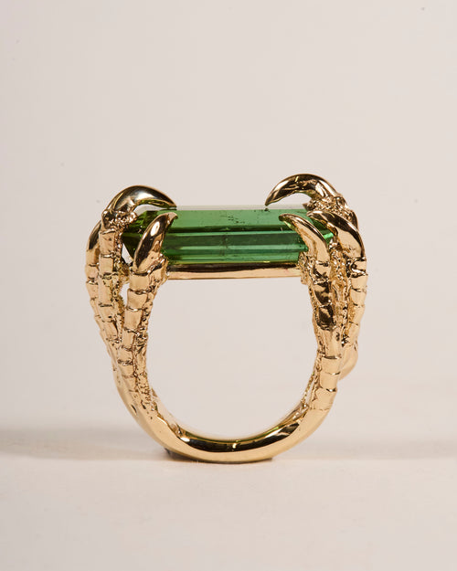 Offering Ring 2025