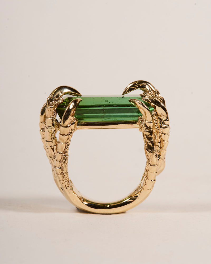 Offering Ring 2025