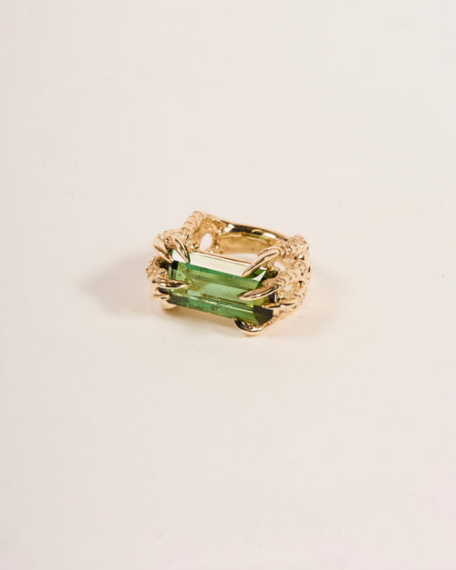 Offering Ring 2025