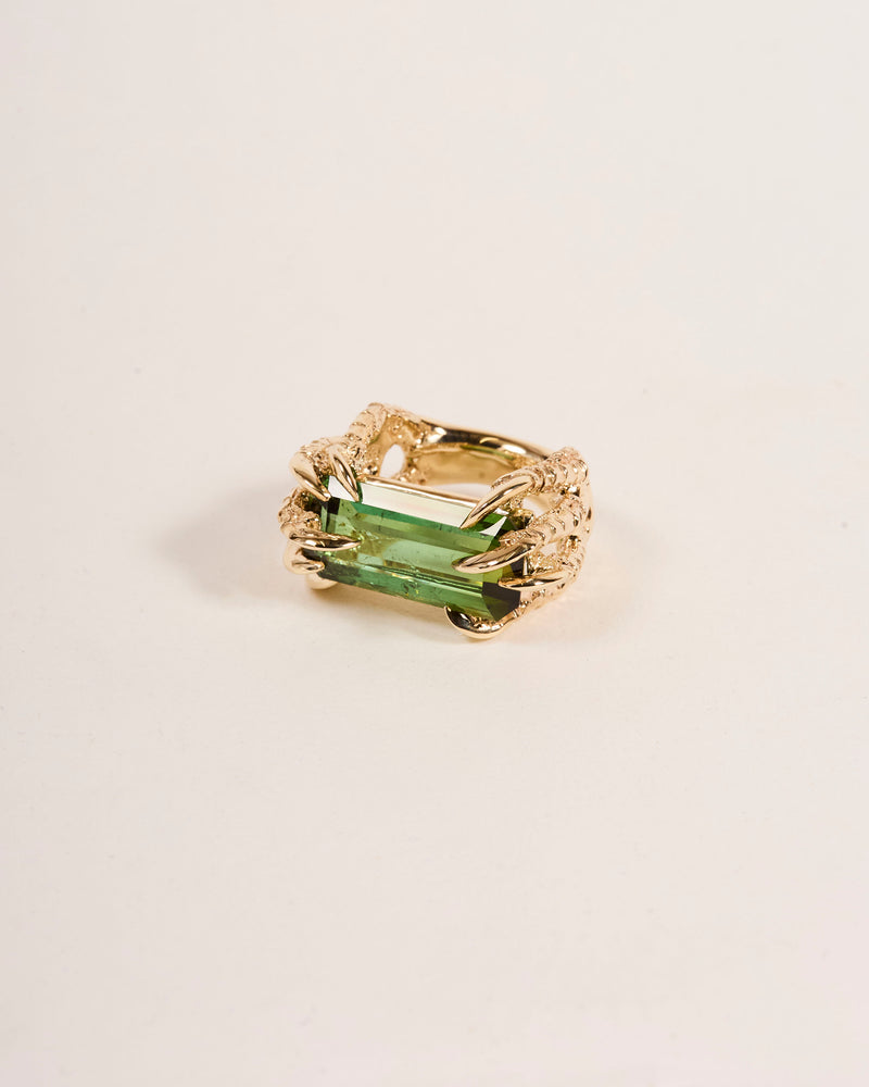 Offering Ring 2025