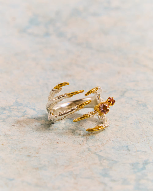 Pigeon Grasp with Mini Rings