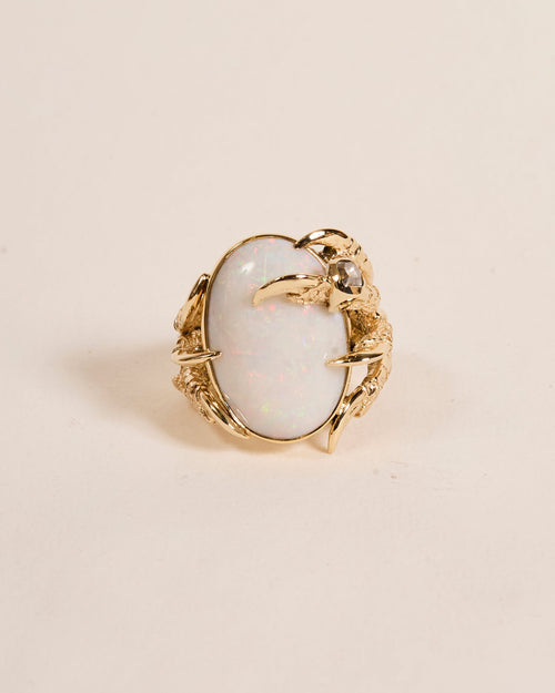 'To want what you've already got' - Total £4,810