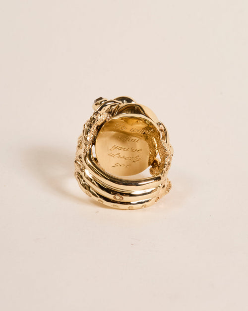 'To want what you've already got' - Total £4,810