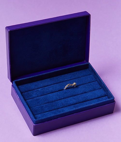 The Collector’s Box