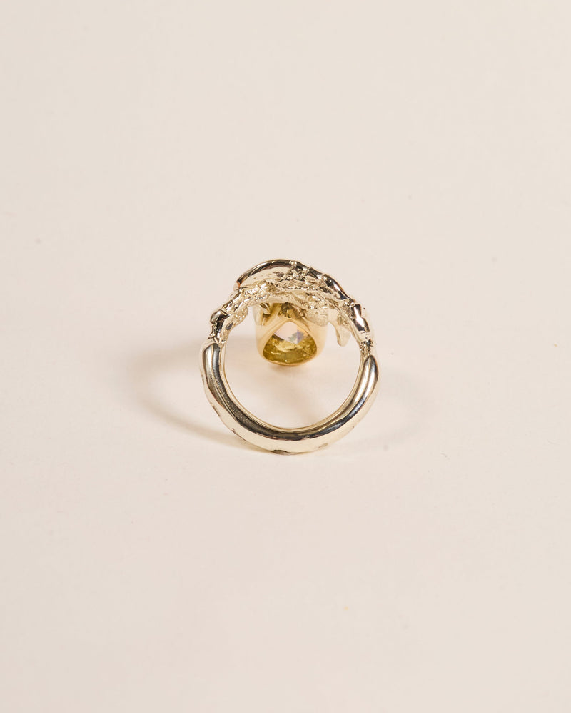Haunted Moonstone Teardrop 2025