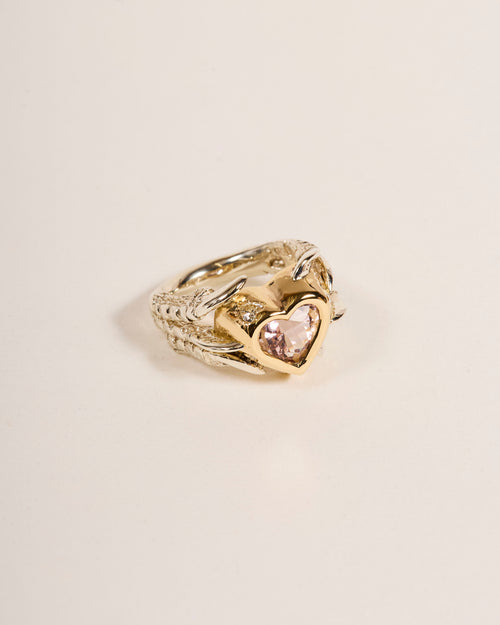 Soft Pink Hard Heart 2025