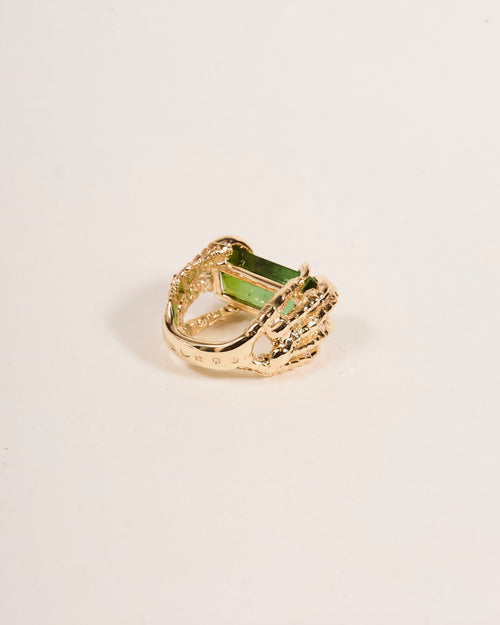 Offering Ring 2025