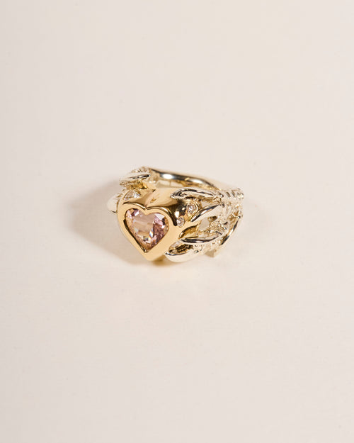 Soft Pink Hard Heart 2025