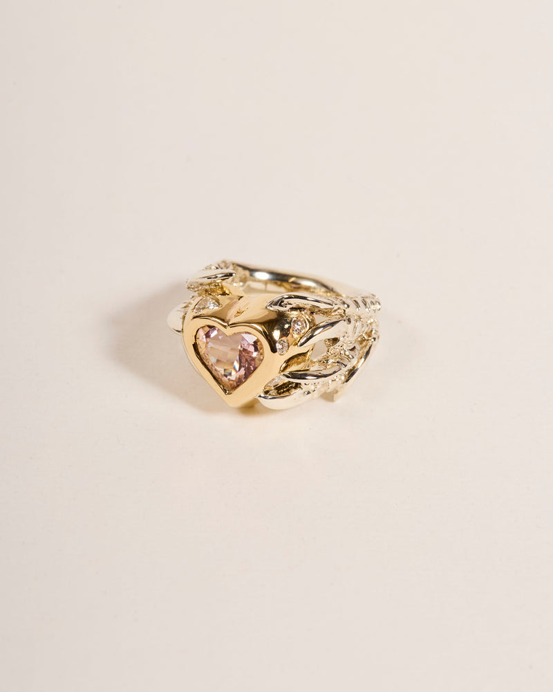 Soft Pink Hard Heart 2025