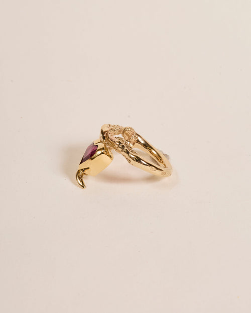 'Bad Taste' Rubellite Heart