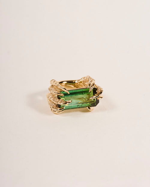Offering Ring 2025