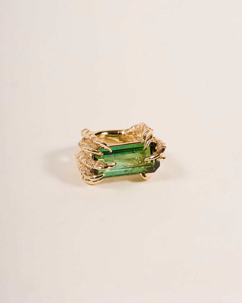 Offering Ring 2025