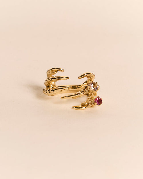 Pigeon Grasp with Mini Rings