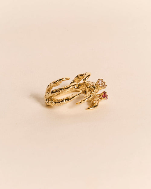 Pigeon Grasp with Mini Rings