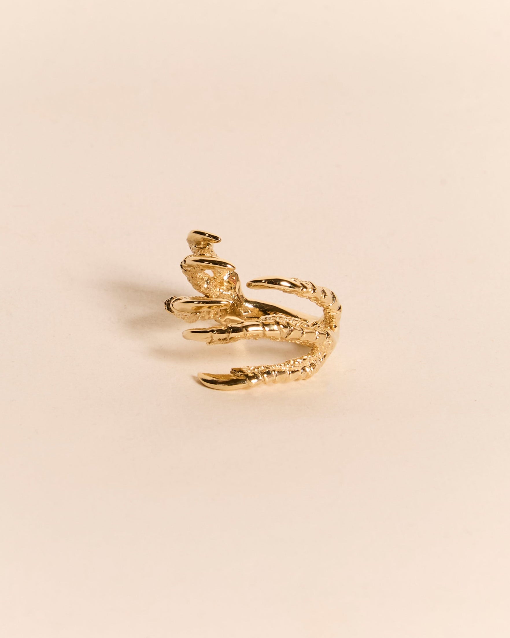 Pigeon Grasp - 9ct Gold
