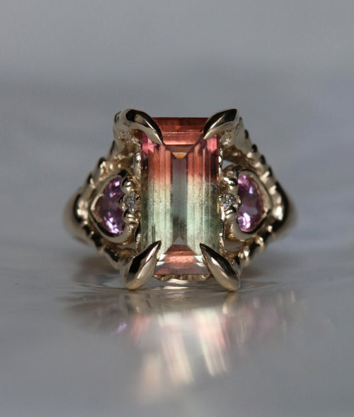 Bi Colour Tourmaline Triptych 2023