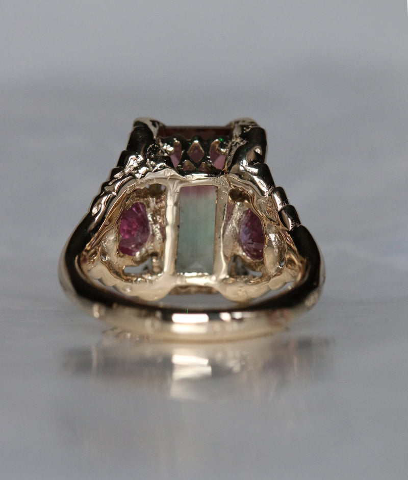 Bi Colour Tourmaline Triptych 2023