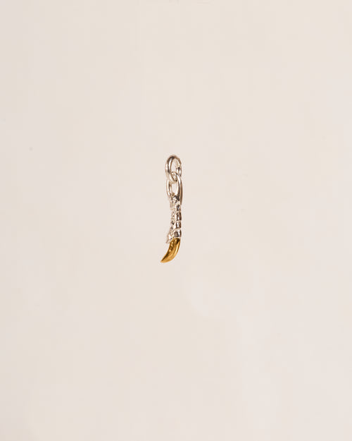 Claw Charm