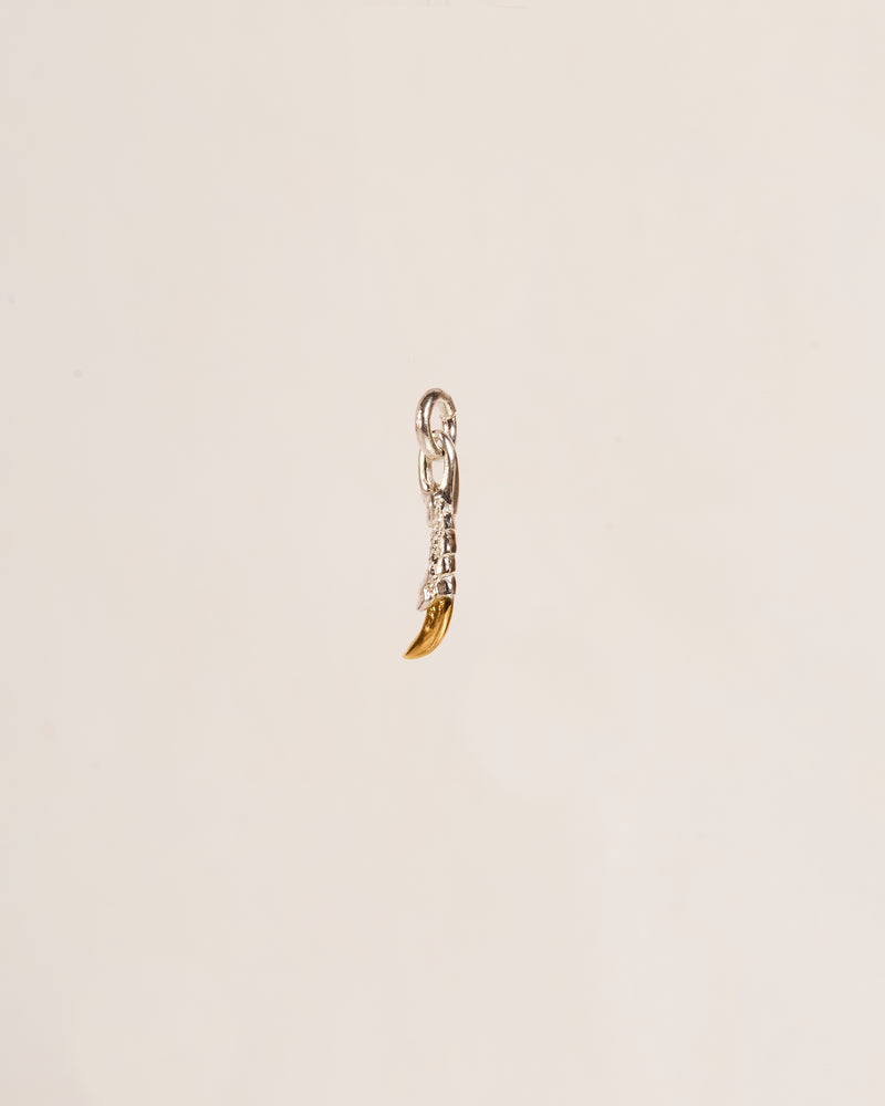 Claw Charm
