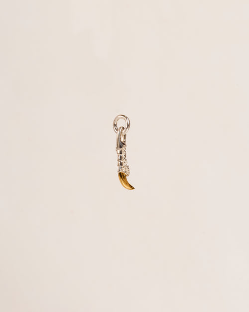 Claw Charm