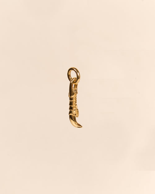 Claw Charm