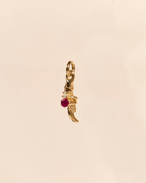 Claw Charm with Mini Rings