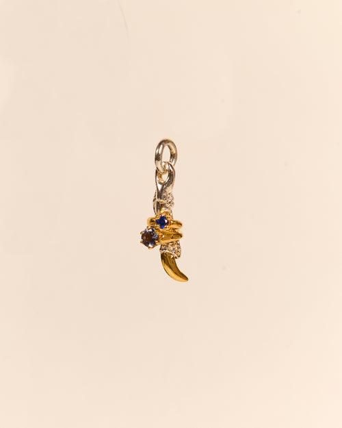 Claw Charm with Mini Rings