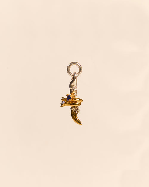 Claw Charm with Mini Rings