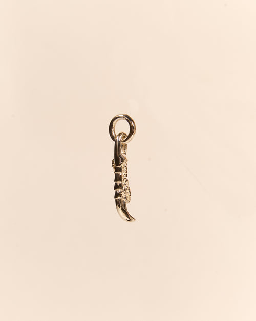 Claw Charm