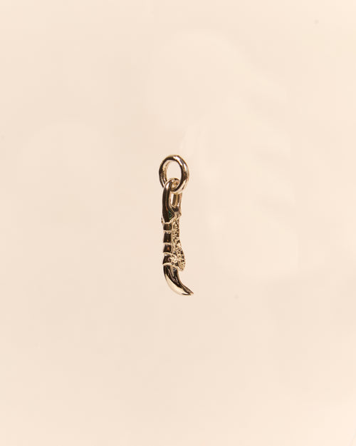 Claw Charm