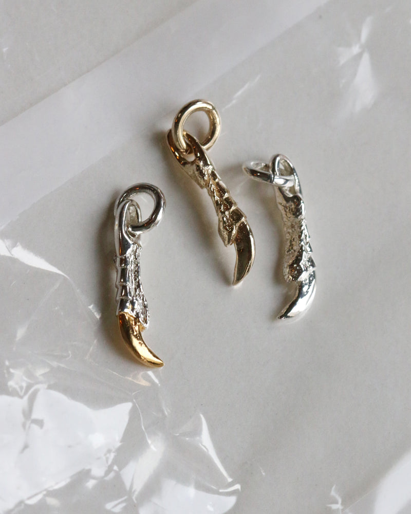 Claw Charm
