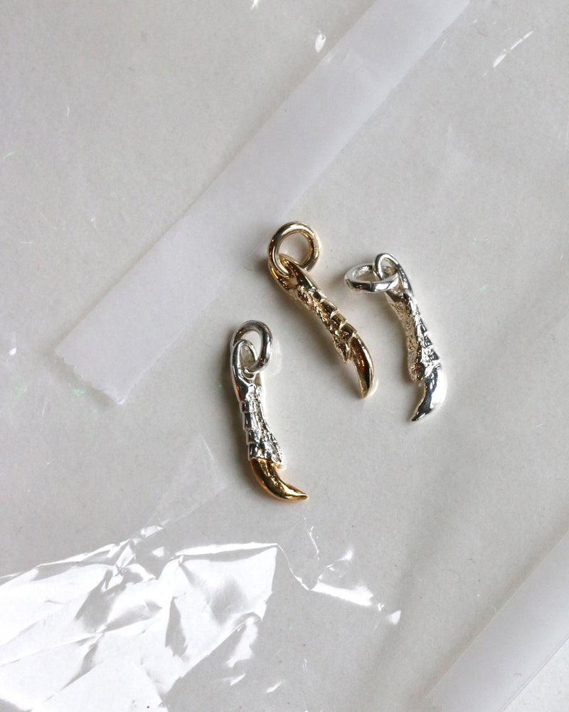 Claw Charm