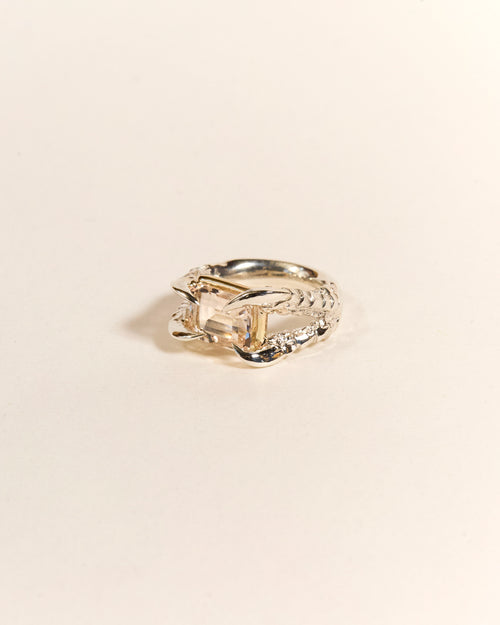 Claws of Engagement - Morganite