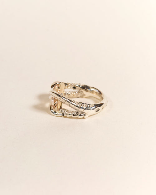 Claws of Engagement - Morganite