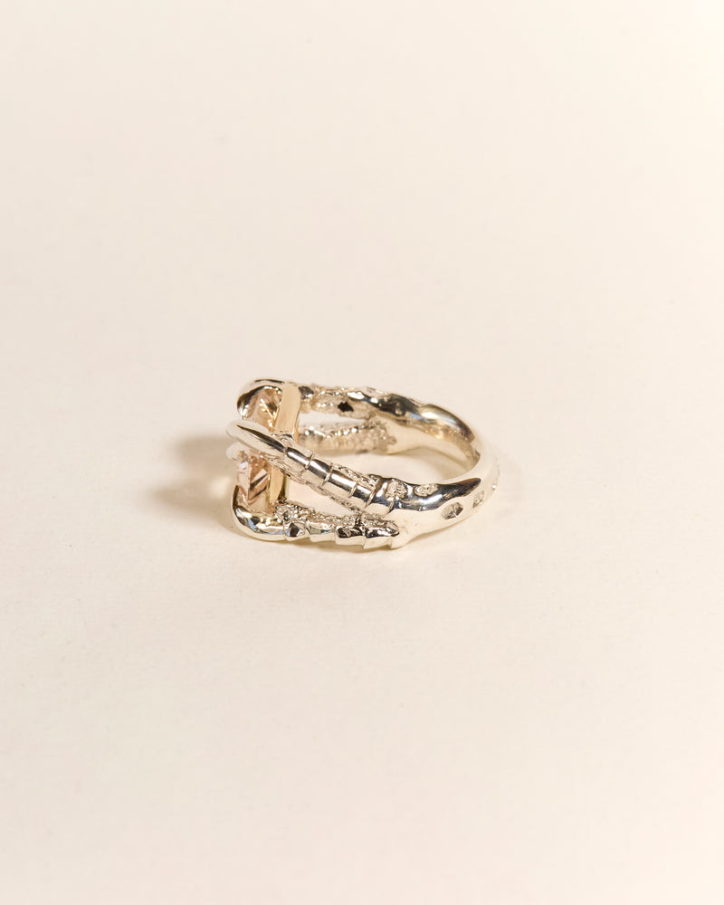 Claws of Engagement - Morganite
