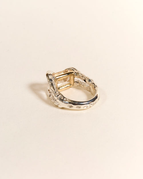 Claws of Engagement - Morganite