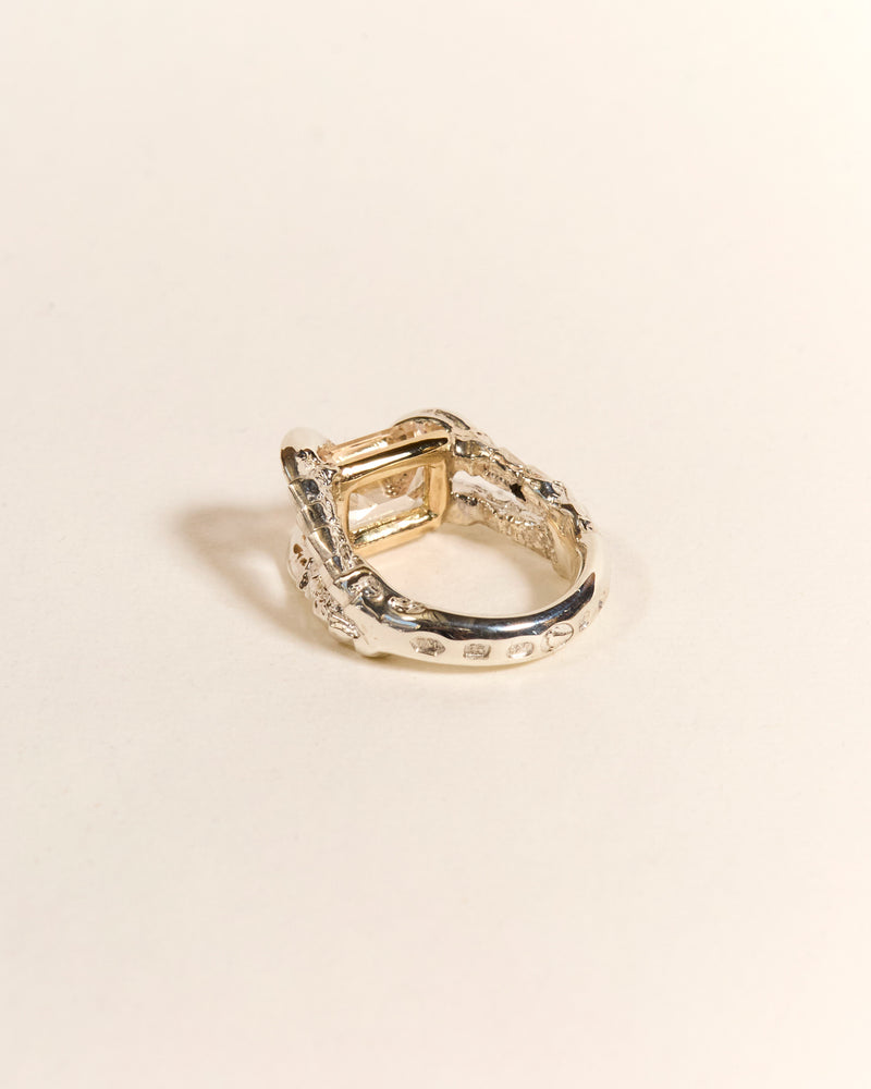 Claws of Engagement - Morganite