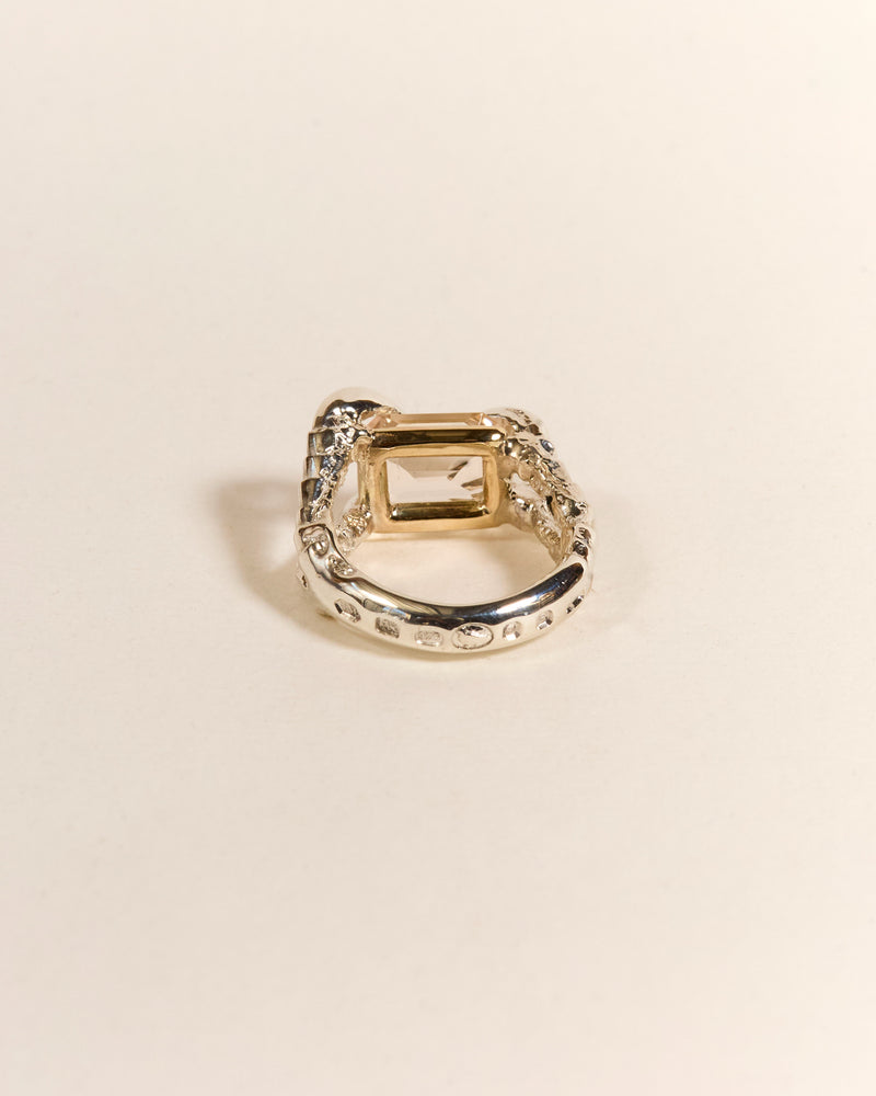 Claws of Engagement - Morganite