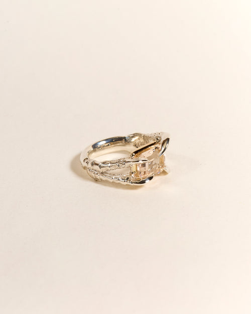 Claws of Engagement - Morganite