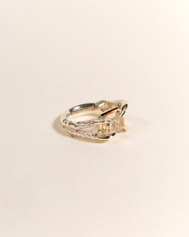 Claws of Engagement - Morganite