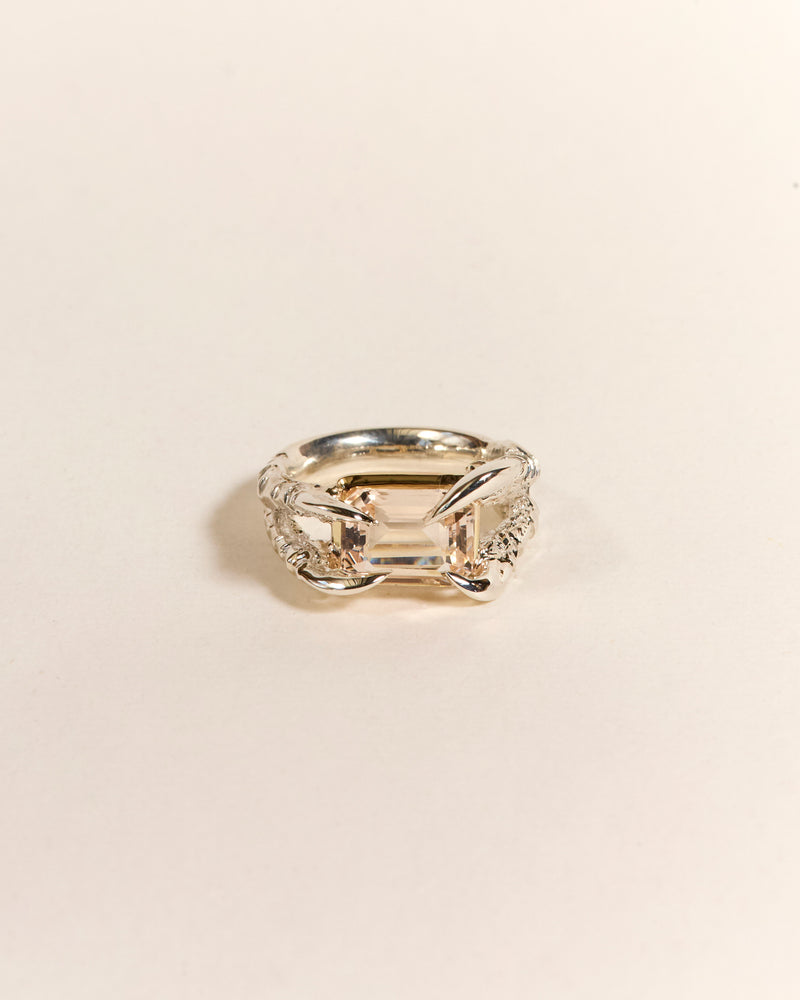 Claws of Engagement - Morganite