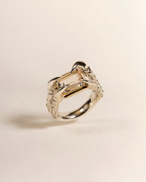 Claws of Engagement - Morganite