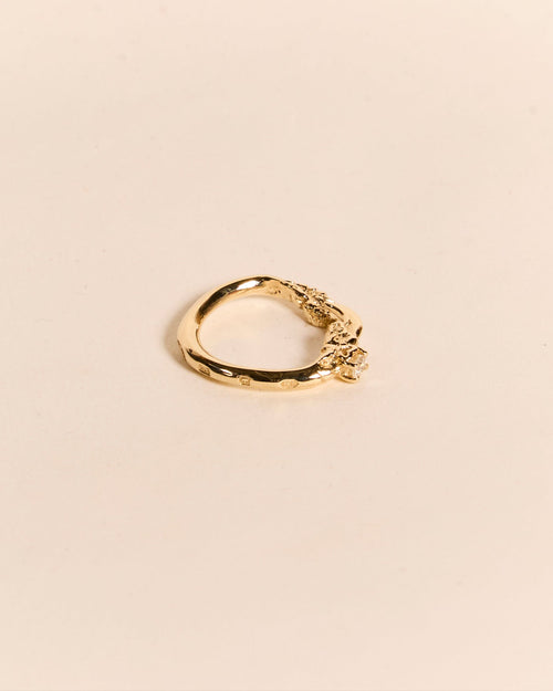 Single Claw with Diamond Ring