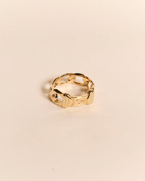 Heavy Chain Ring