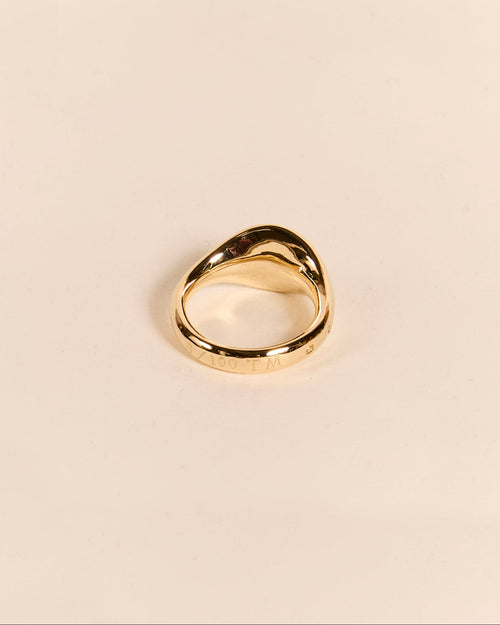 Heavyweight Pigeon Signet with Diamond