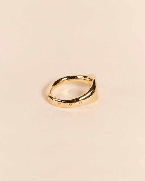 Heavyweight Pigeon Signet with Diamond