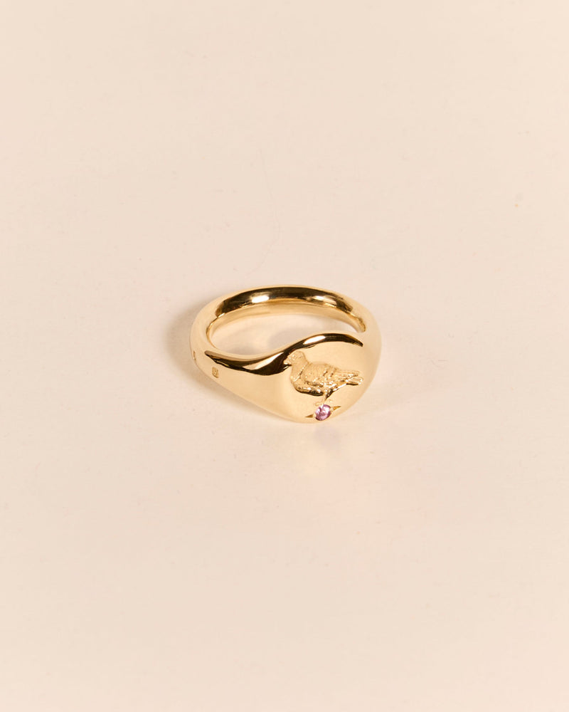 Heavyweight Pigeon Signet with Pink Sapphire