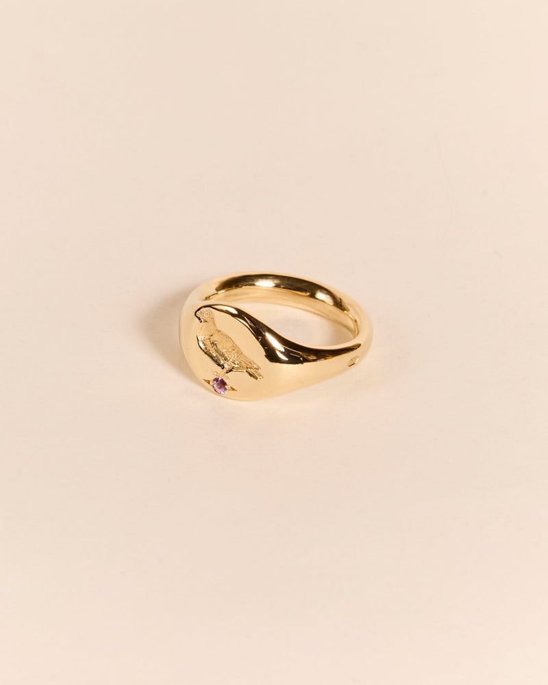 Heavyweight Pigeon Signet with Pink Sapphire