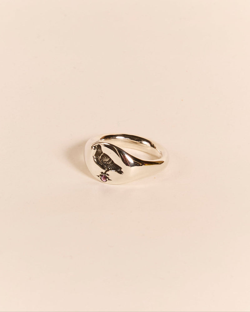 Heavyweight Pigeon Signet with Pink Sapphire